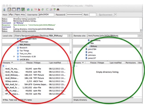 Transfer files from local host to HPCC with FileZilla